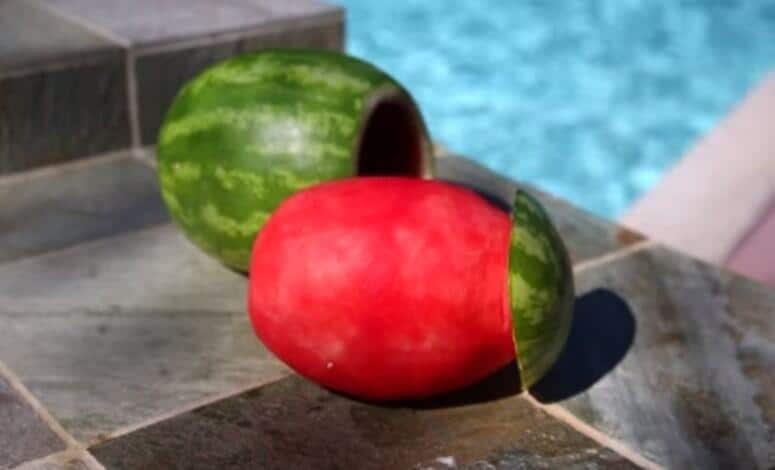 Meloen-cool