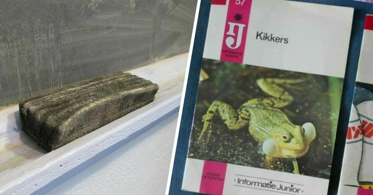 basisschool attributen