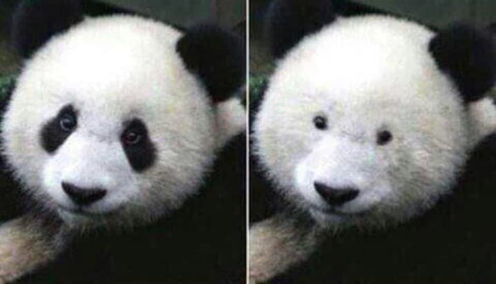 Bril dragen frustraties brildragers afzetten panda ogen