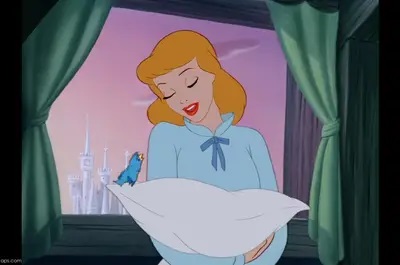 Disney pinsessen echt haar Cinderella Assepoester