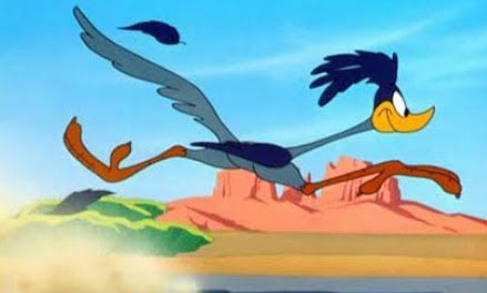 Roadrunner snel rennen