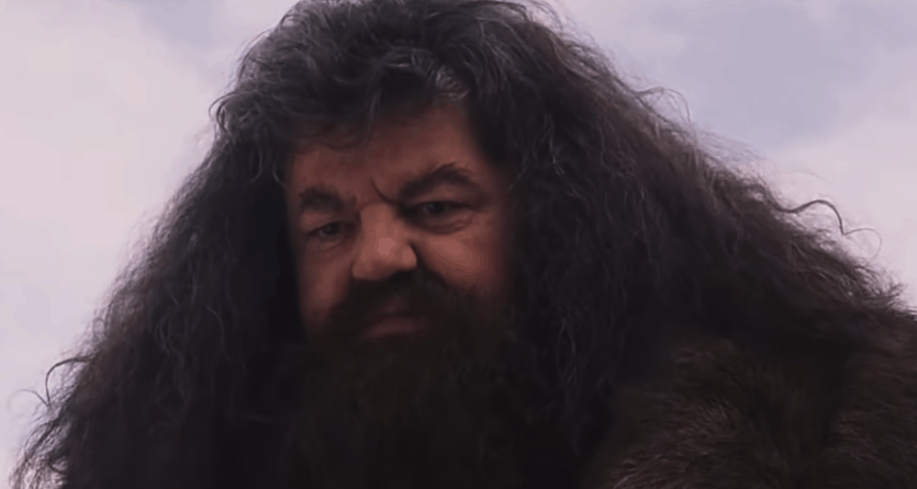 Hagrid gespeeld door Robbie Coltrane