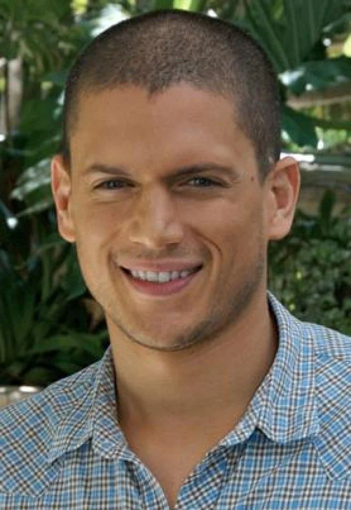 Opgegroeid in de 00's: dan was je verzot op deze 22 hunks hunks 00s zeroes mannen Wentworth Miller