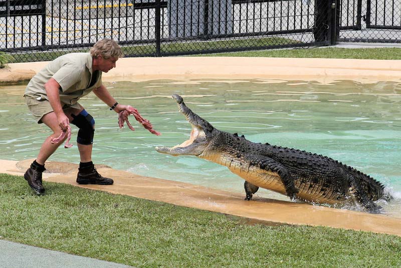 Steve Irwin The Crocodile Hunter krokodil