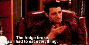 Joey Friends weetjes koelkast kapot