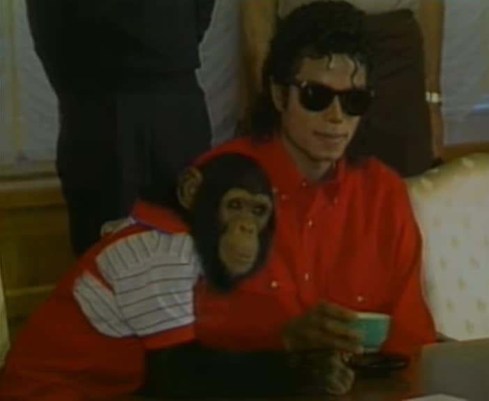 Michael Jackson Bubbles Aap huisdieren