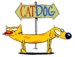 Cartoon katten: 21 bekende katten uit tekenfilms en strips