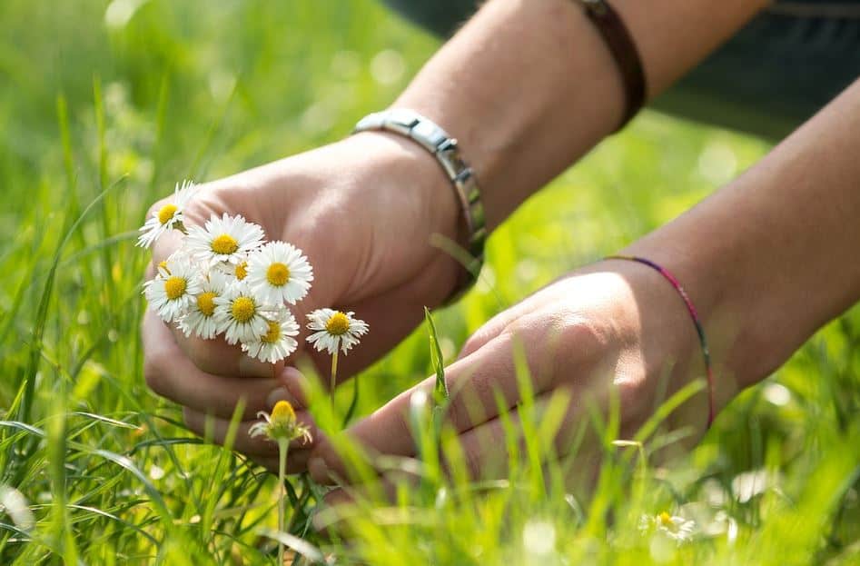 arm-mode-daisies-bracelet-armband-madeliefjes-bloemen-vlechten