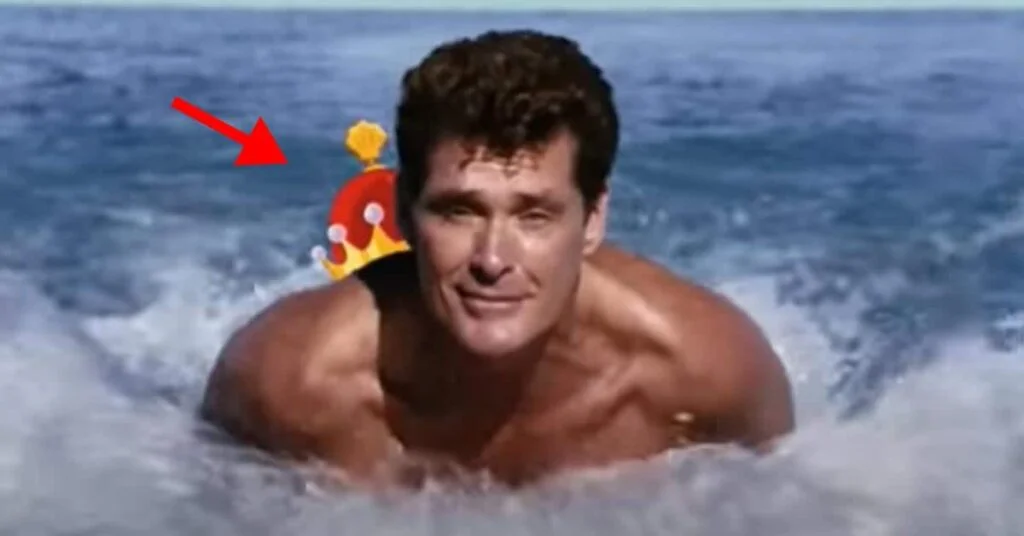 David Hasselhoff feitjes The Hoff