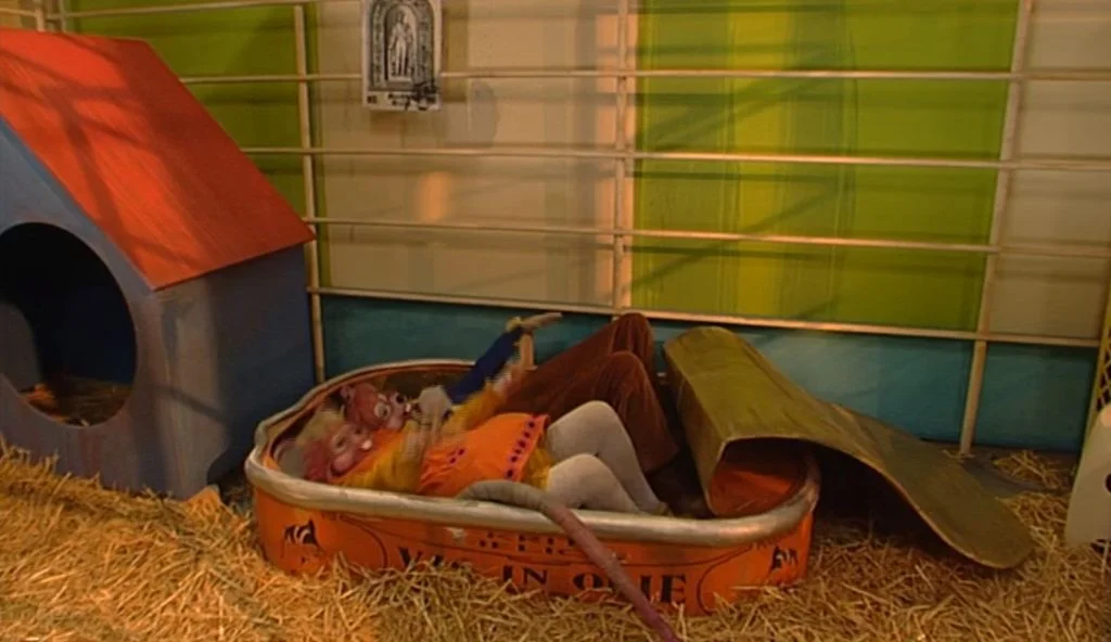 Wizzy en Woppy: 13 herinneringen die je vergeten was vis in olie wizzy en woppy bed
