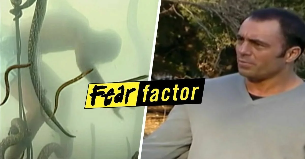 Fear Factor