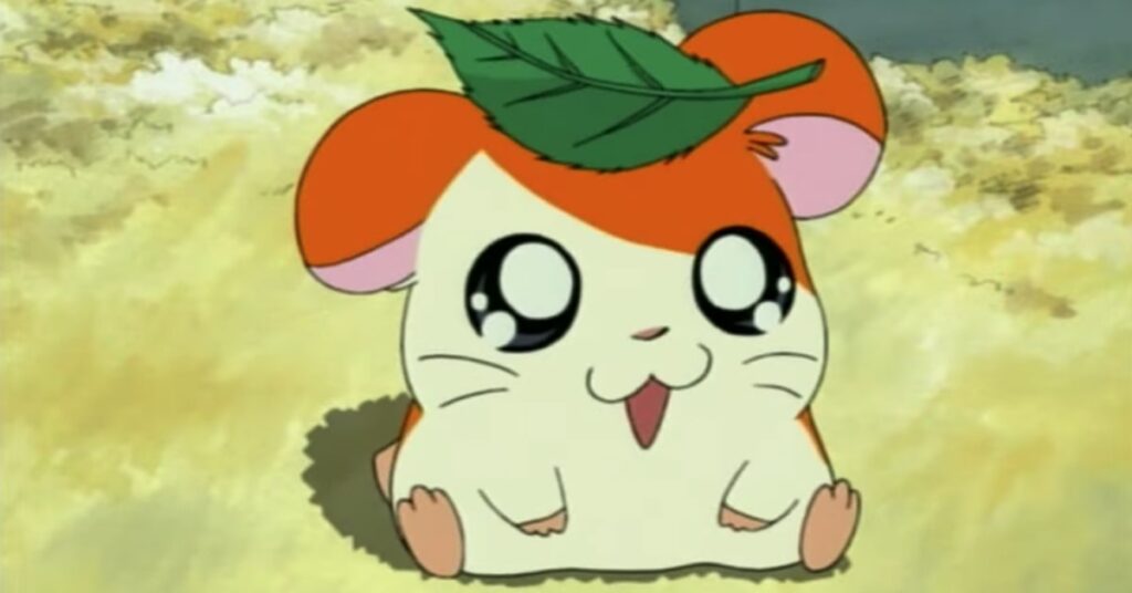 17 Zaken Die Je Alleen Herkent Als Je Naar Hamtaro Keek