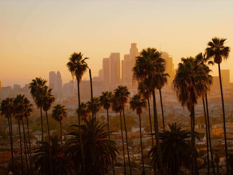los Angeles sunset