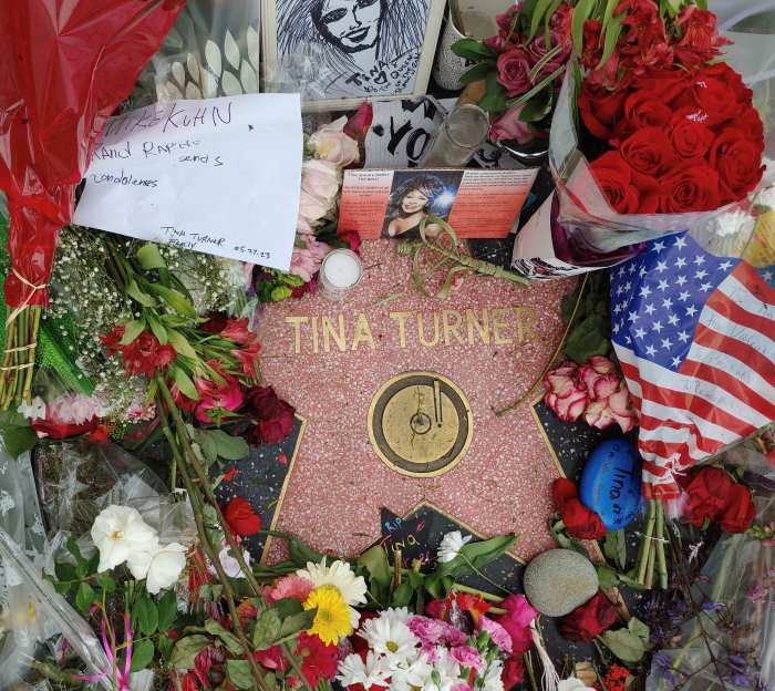 Tina-Turner-Walk-of-Fame