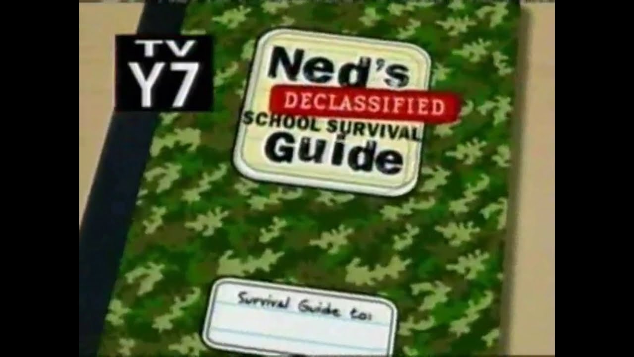 Zo gaat het 16 jaar later met de Ned